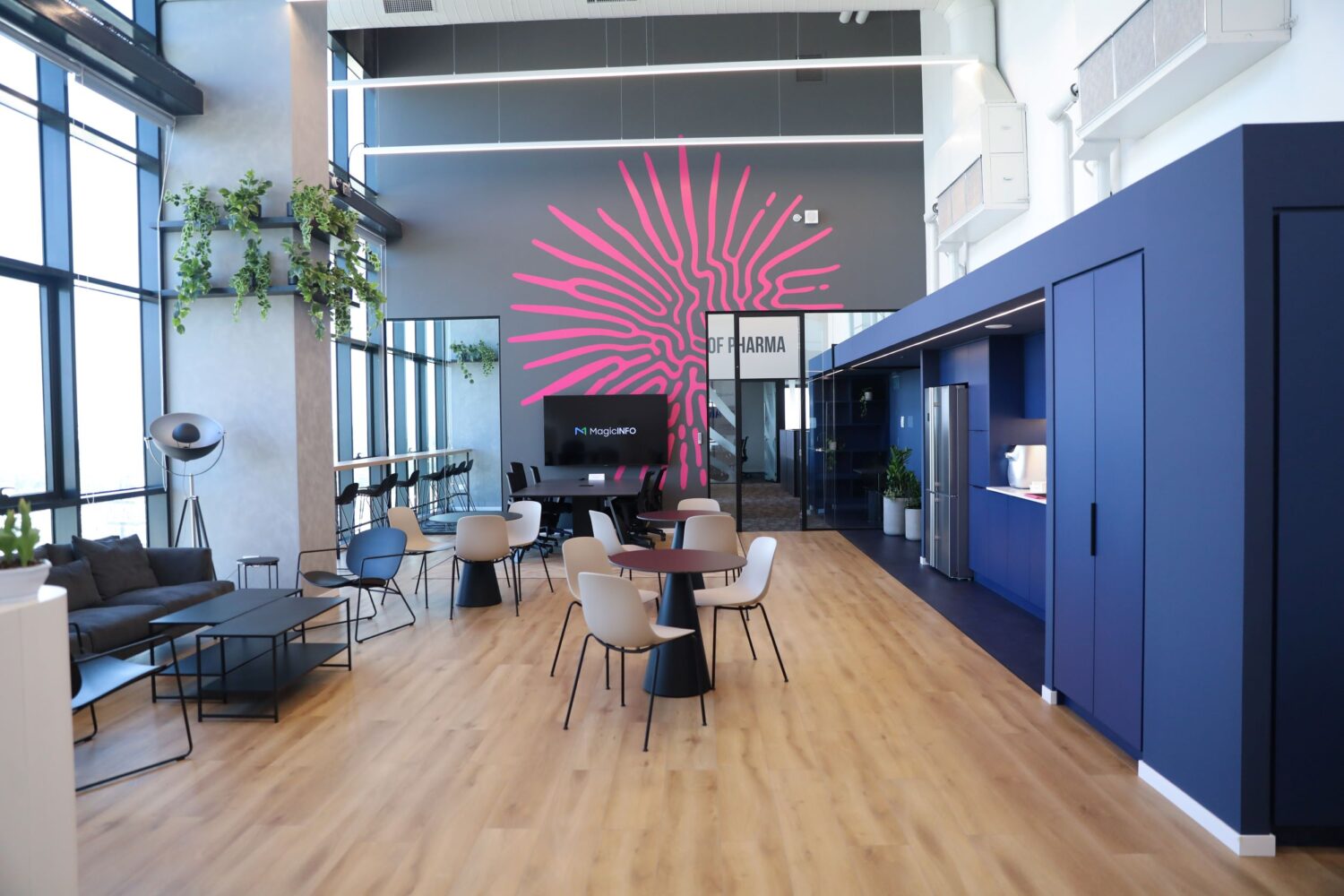 AION labs-9041_compressed